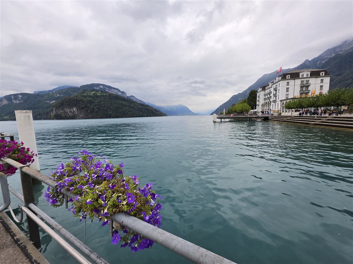 Day 4 – Brunnen to Rütli, Tellsplatte & Sisikon Lake Trail : Switzerland (Sep'26) 17