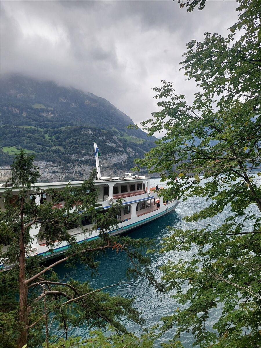 Day 4 – Brunnen to Rütli, Tellsplatte & Sisikon Lake Trail : Switzerland (Sep'26) 28
