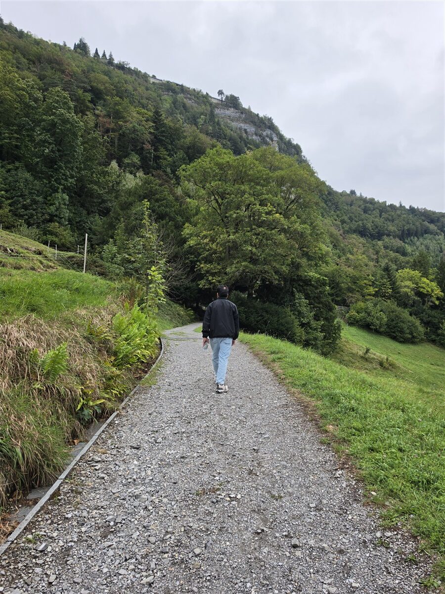Day 4 – Brunnen to Rütli, Tellsplatte & Sisikon Lake Trail : Switzerland (Sep'26) 31