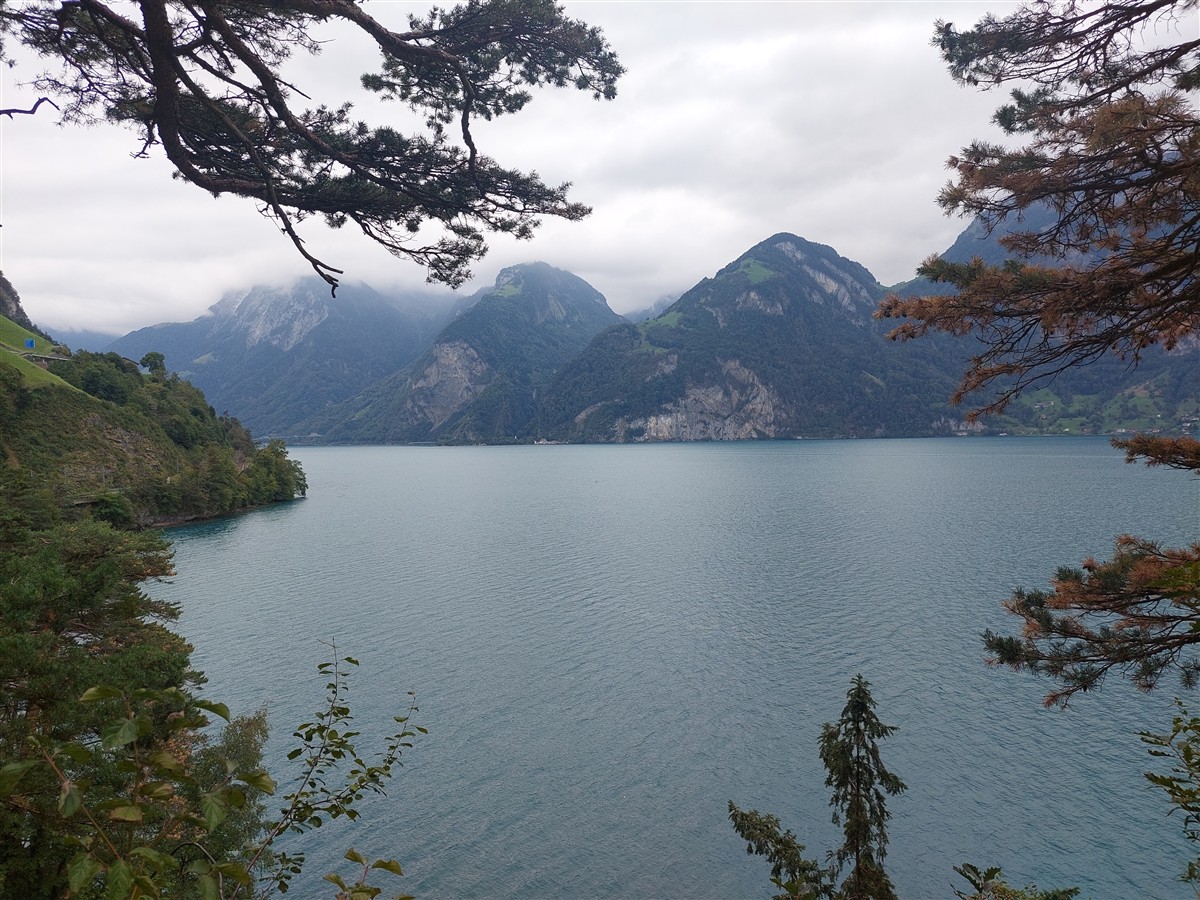 Day 4 – Brunnen to Rütli, Tellsplatte & Sisikon Lake Trail : Switzerland (Sep'26) 43