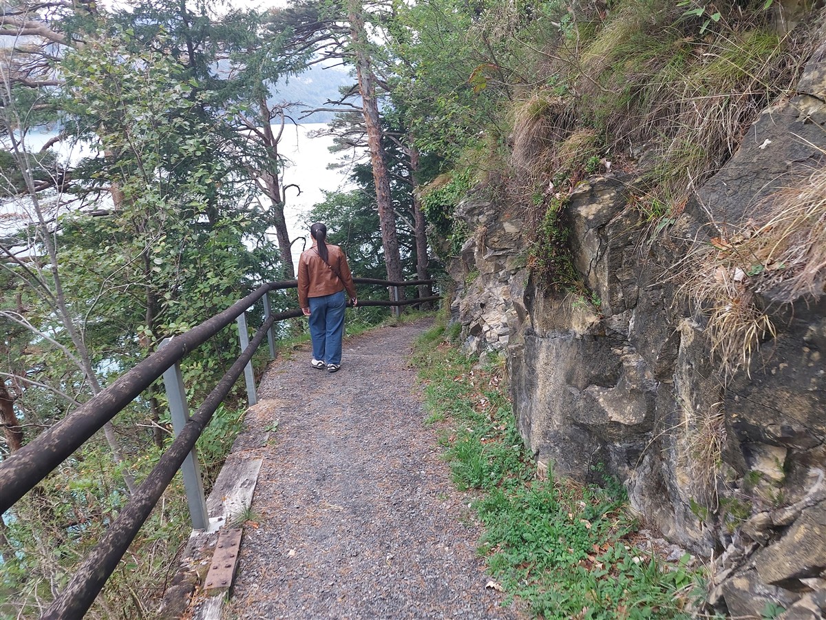 Day 4 – Brunnen to Rütli, Tellsplatte & Sisikon Lake Trail : Switzerland (Sep'26) 44