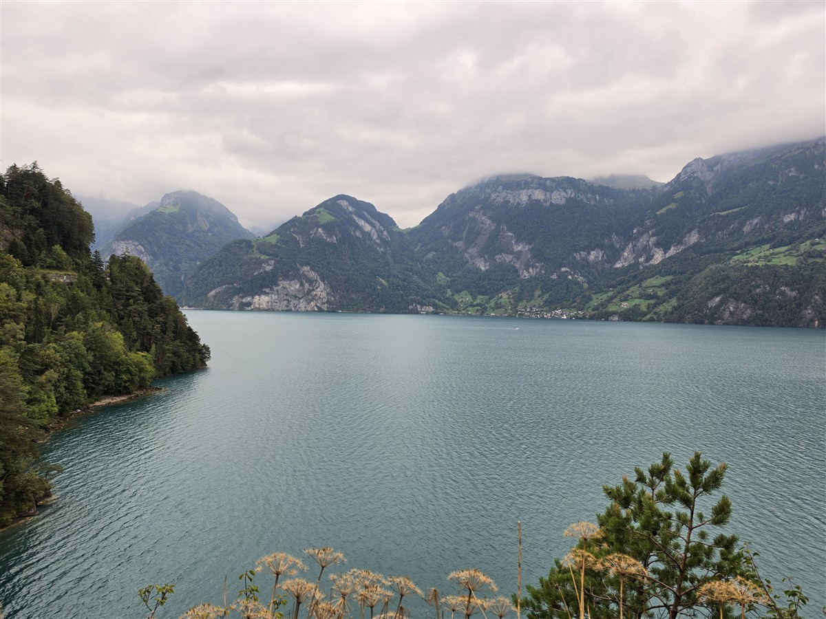 Day 4 – Brunnen to Rütli, Tellsplatte & Sisikon Lake Trail : Switzerland (Sep'26) 45