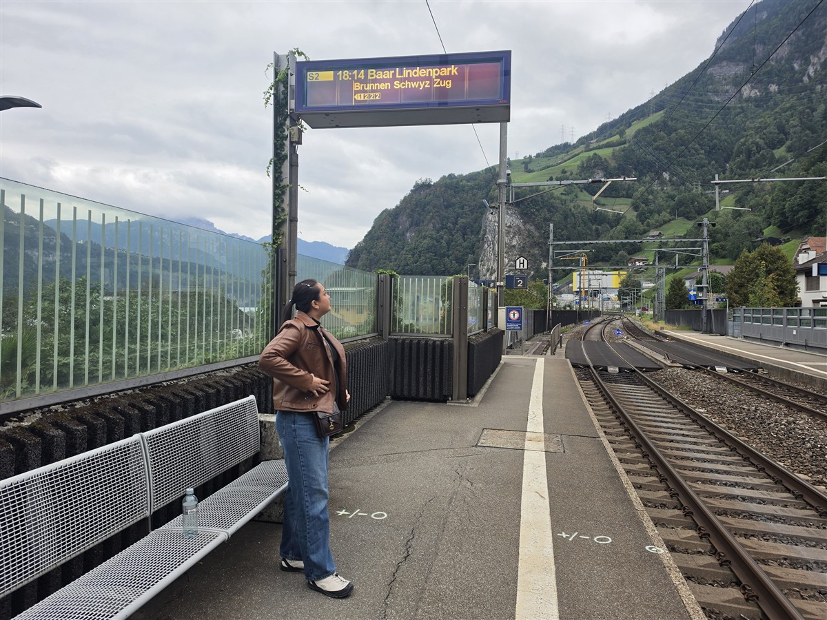 Day 4 – Brunnen to Rütli, Tellsplatte & Sisikon Lake Trail : Switzerland (Sep'26) 52 Day 4 – Brunnen to Rütli, Tellsplatte & Sisikon Lake Trail : Switzerland (Sep'26) 52