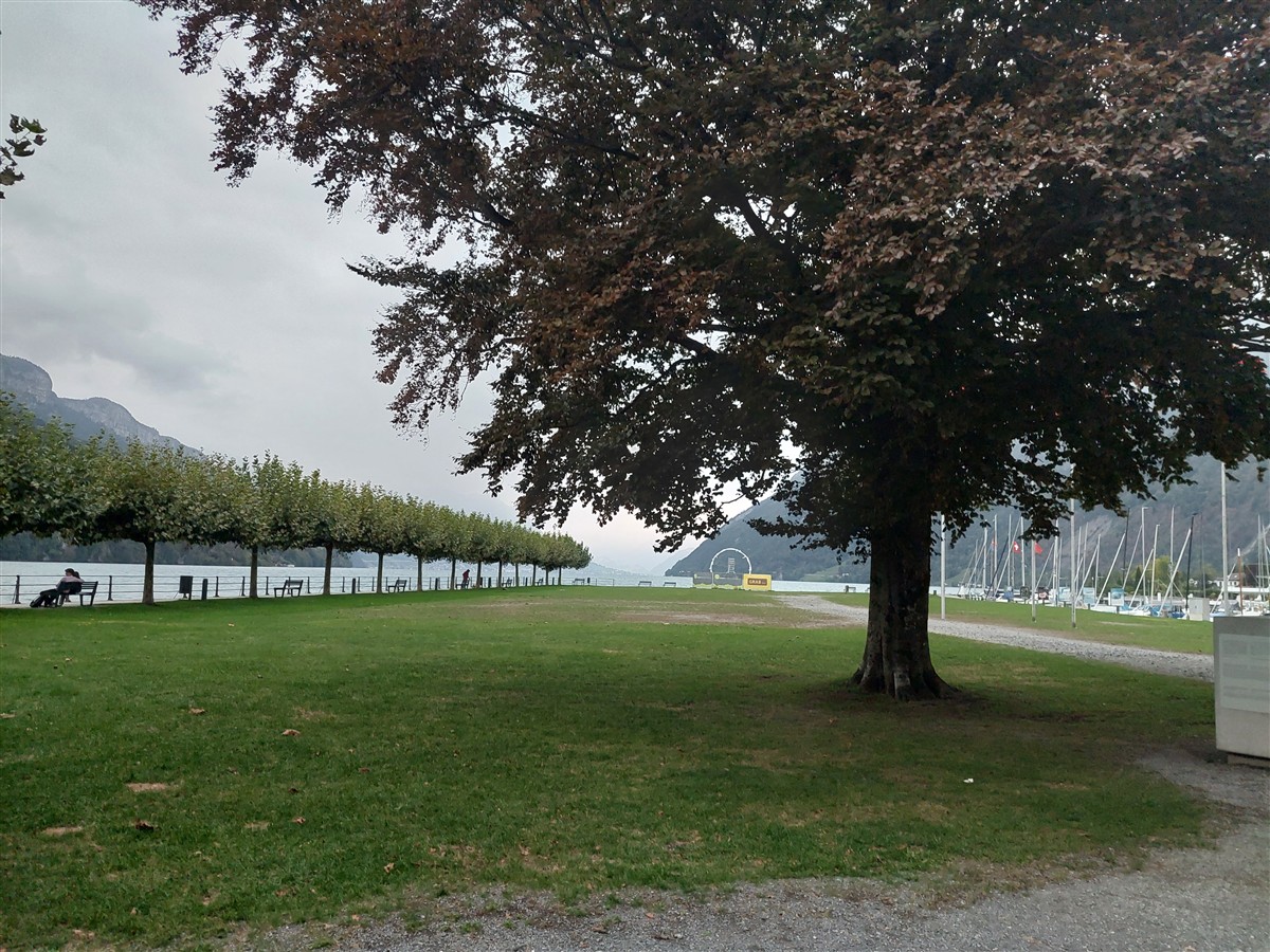 Day 4 – Brunnen to Rütli, Tellsplatte & Sisikon Lake Trail : Switzerland (Sep'26) 54 Day 4 – Brunnen to Rütli, Tellsplatte & Sisikon Lake Trail : Switzerland (Sep'26) 54