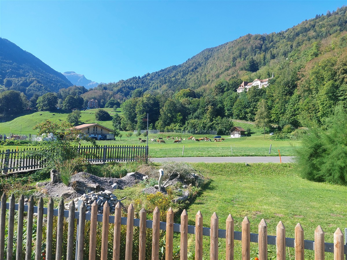 Day 6 – Grindelwald First Cliff Walk and Bachalpsee Lake Trek : An Unforgettable Day in the Swiss Alps (Sep'26) 2
