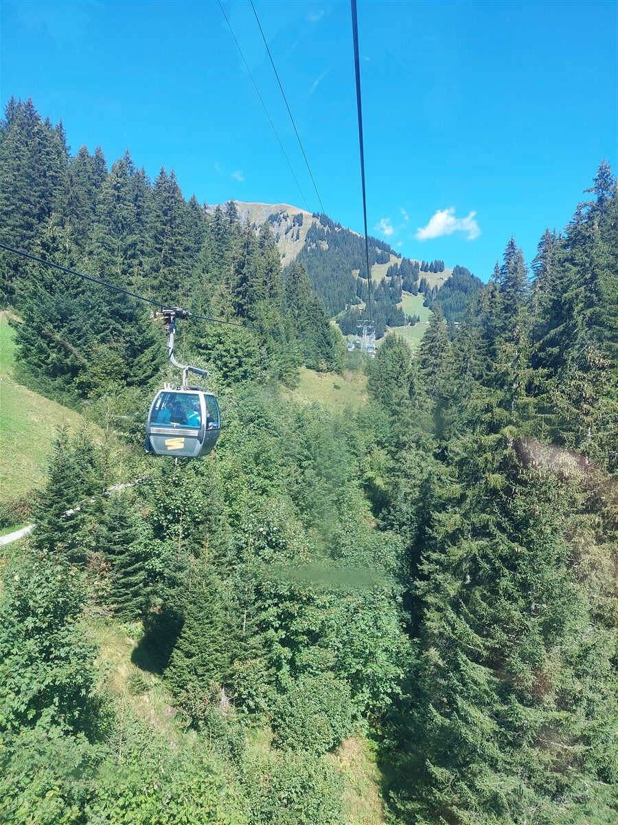 Day 6 – Grindelwald First Cliff Walk and Bachalpsee Lake Trek : An Unforgettable Day in the Swiss Alps (Sep'26) 19