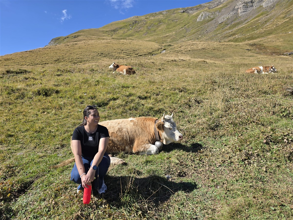Day 6 – Grindelwald First Cliff Walk and Bachalpsee Lake Trek : An Unforgettable Day in the Swiss Alps (Sep'26) 66