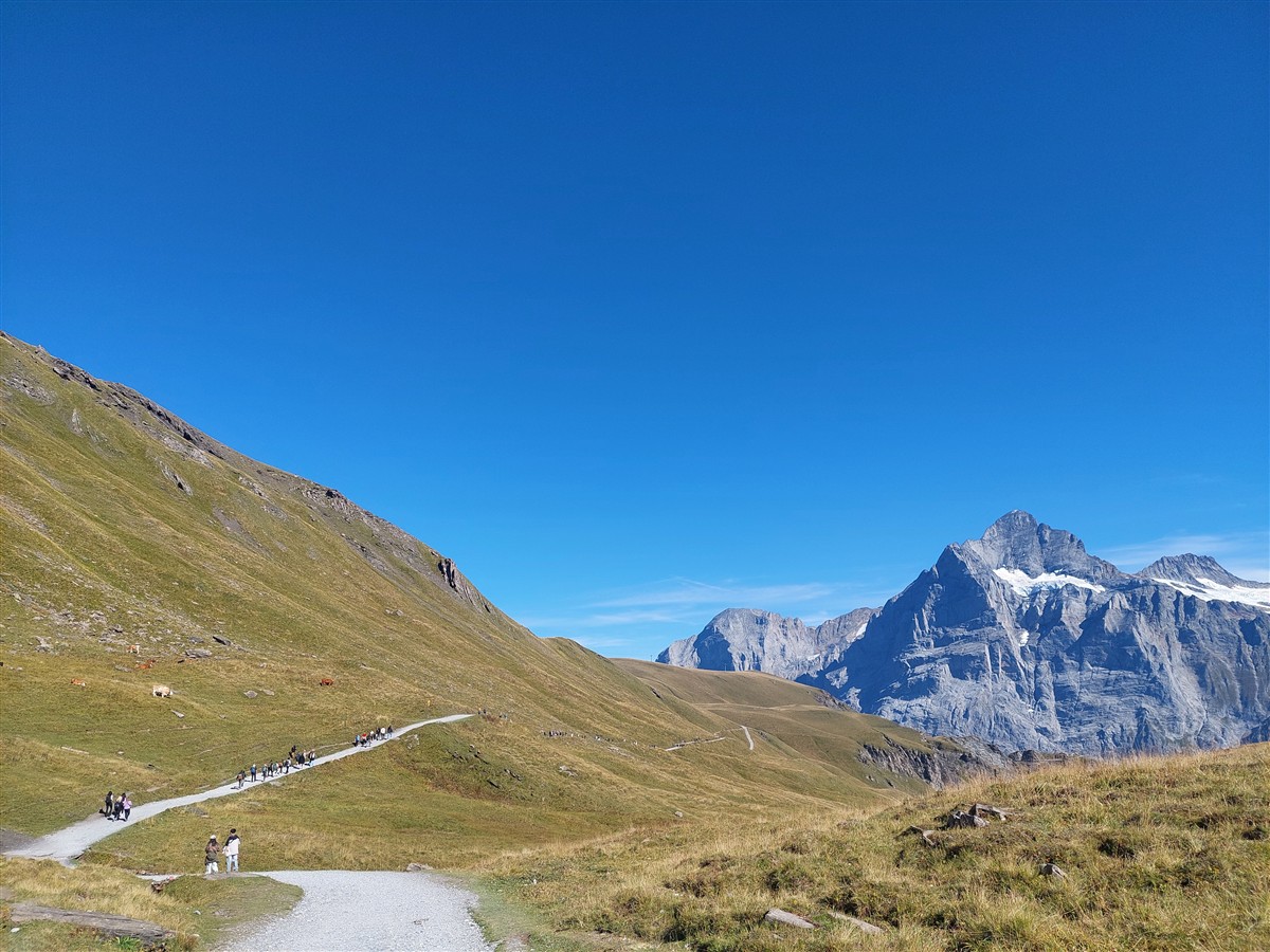 Day 6 – Grindelwald First Cliff Walk and Bachalpsee Lake Trek : An Unforgettable Day in the Swiss Alps (Sep'26) 68