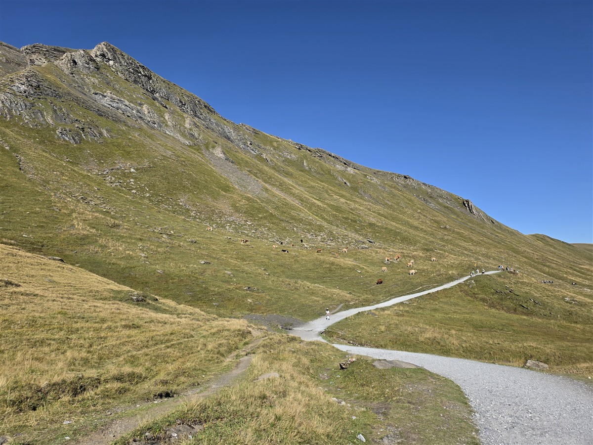 Day 6 – Grindelwald First Cliff Walk and Bachalpsee Lake Trek : An Unforgettable Day in the Swiss Alps (Sep'26) 82