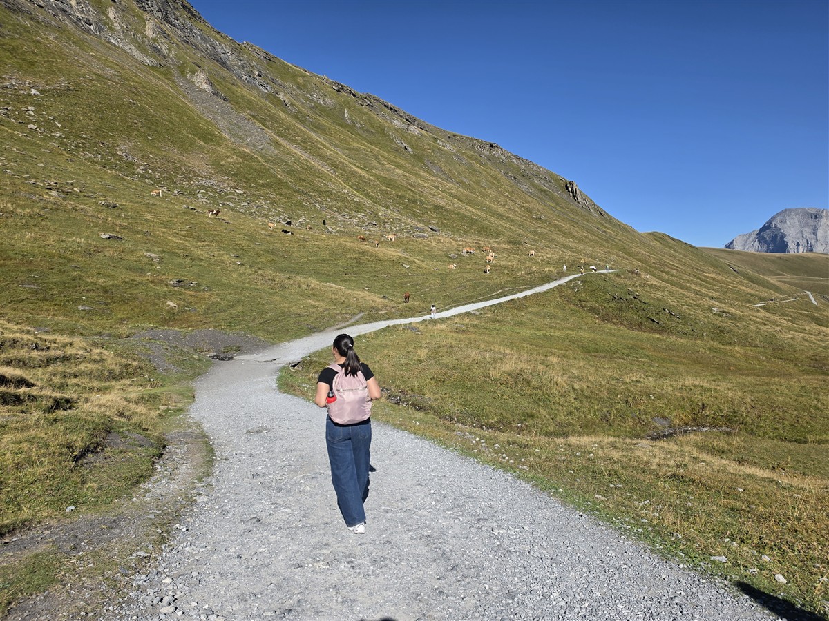 Day 6 – Grindelwald First Cliff Walk and Bachalpsee Lake Trek : An Unforgettable Day in the Swiss Alps (Sep'26) 83
