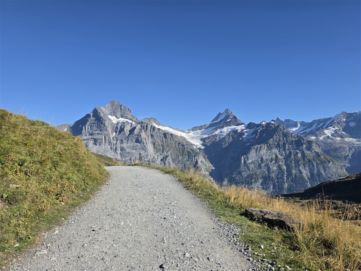 Day 6 – Grindelwald First Cliff Walk and Bachalpsee Lake Trek : An Unforgettable Day in the Swiss Alps (Sep'26) 86