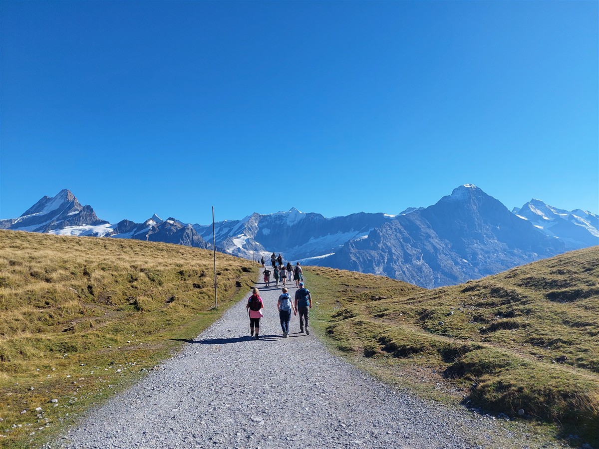 Day 6 – Grindelwald First Cliff Walk and Bachalpsee Lake Trek : An Unforgettable Day in the Swiss Alps (Sep'26) 87