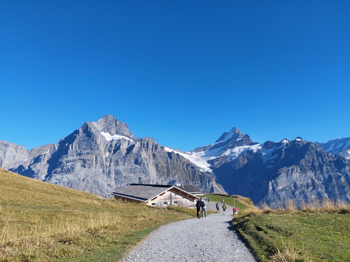 Day 6 – Grindelwald First Cliff Walk and Bachalpsee Lake Trek : An Unforgettable Day in the Swiss Alps (Sep'26) 88