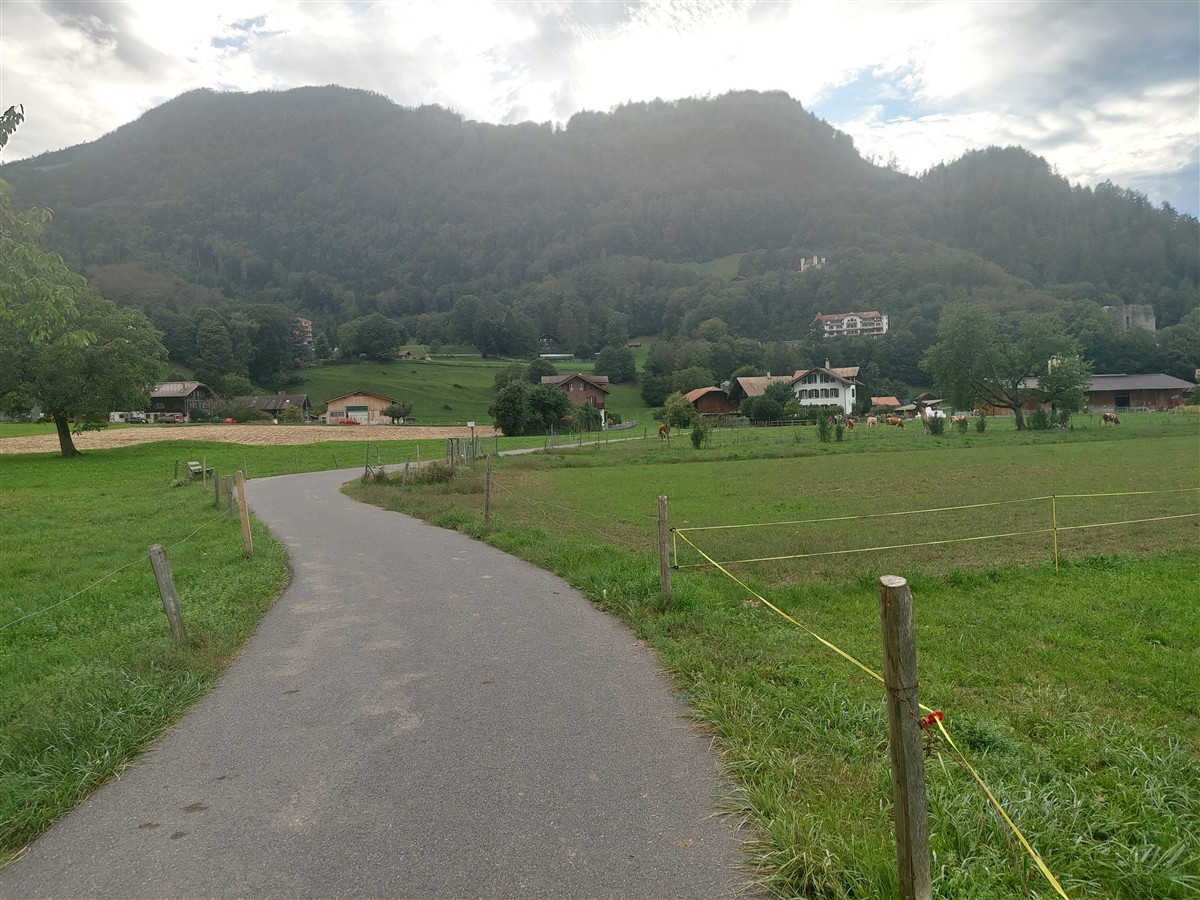 Day 7 – A Relaxing Sunday in Iseltwald and Lake Brienz : Switzerland (Sep'26) 53