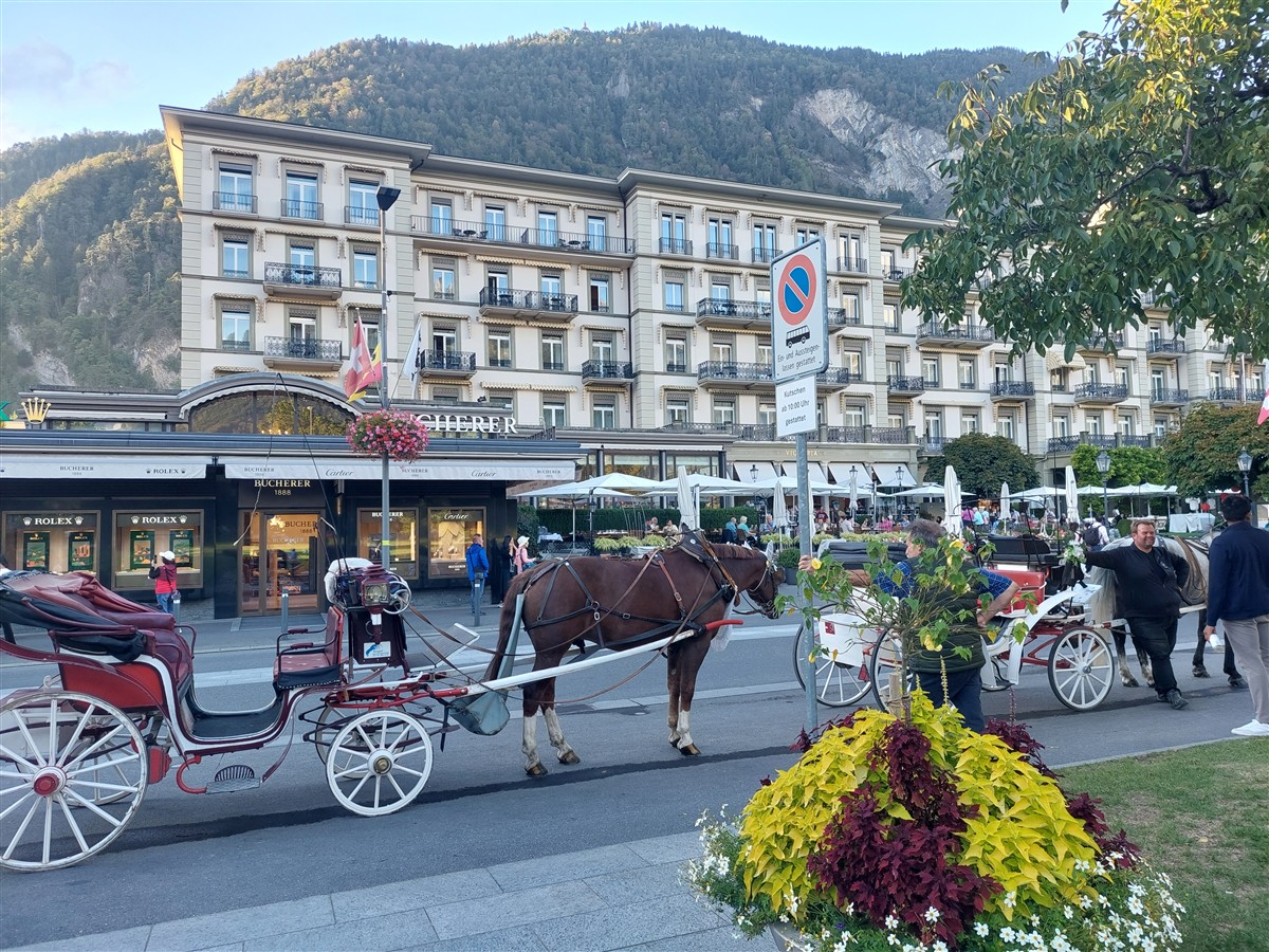 Day 8 : Exploring Oeschinen Lake and an Evening in Interlaken, Switzerland (Sep'26) 77 Day 8 : Exploring Oeschinen Lake and an Evening in Interlaken, Switzerland (Sep'26) 77