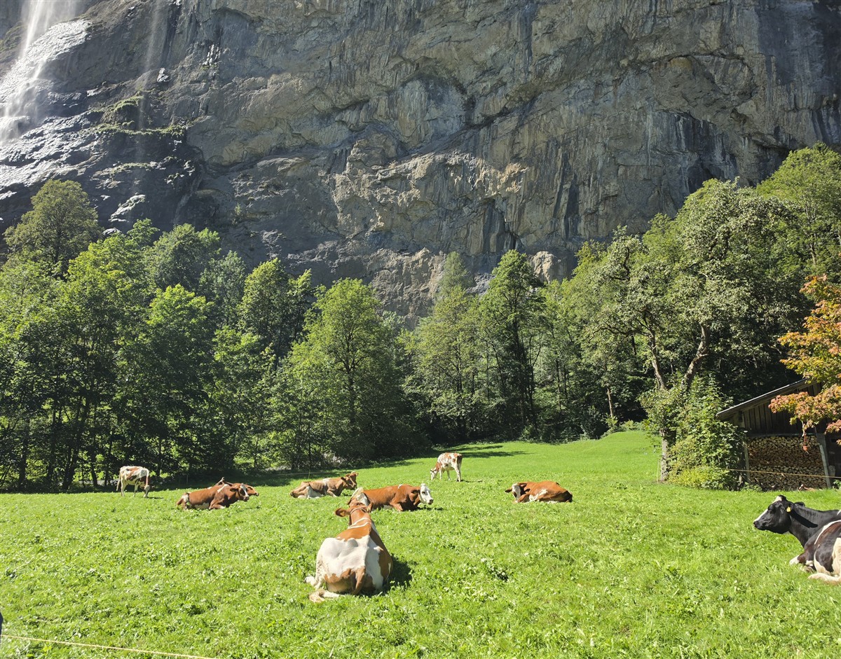 Day 9 – Exploring Lauterbrunnen, Wengen and Mürren in One Day : Switzerland (Sep'26) 24 Day 9 – Exploring Lauterbrunnen, Wengen and Mürren in One Day : Switzerland (Sep'26) 24