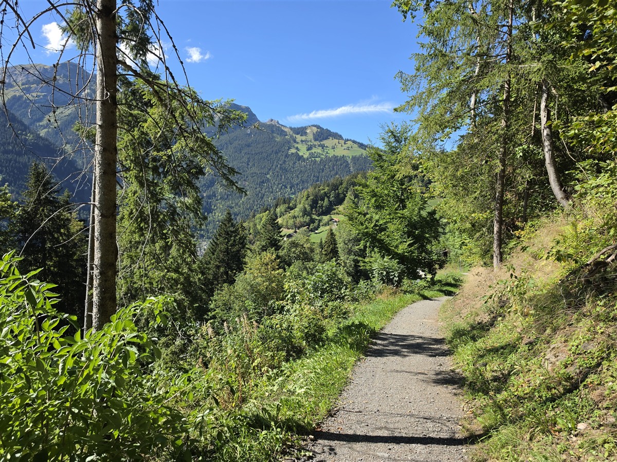 Day 9 – Exploring Lauterbrunnen, Wengen and Mürren in One Day : Switzerland (Sep'26) 57