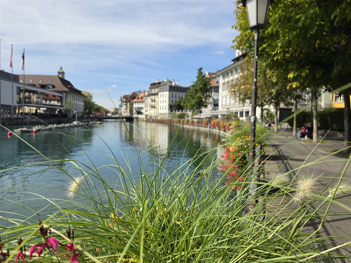 Day 11 – Walking Through the Charming Streets of Thun, Switzerland (Sep'26) 18