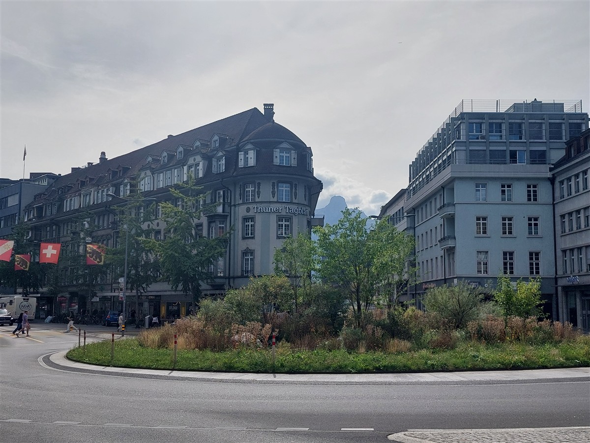 Day 11 – Walking Through the Charming Streets of Thun, Switzerland (Sep'26) 33