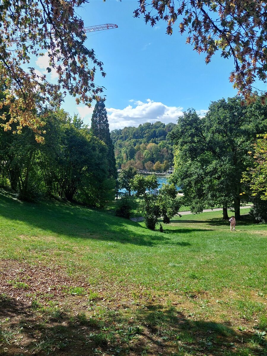Day 12 – Back to Zurich : Rhine Falls, Old Town and Our Final Evening in Switzerland (Sep'26) 3 Day 12 – Back to Zurich : Rhine Falls, Old Town and Our Final Evening in Switzerland (Sep'26) 3