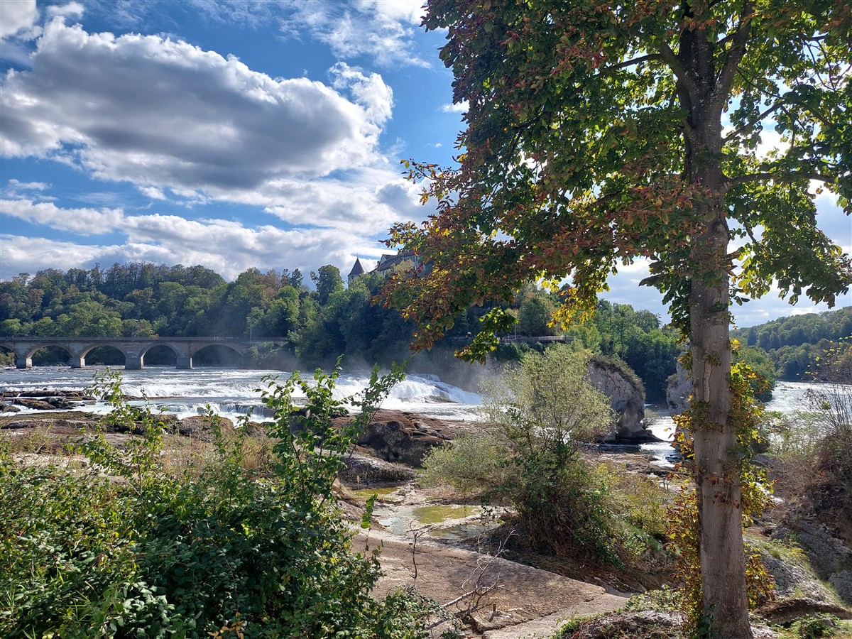 Day 12 – Back to Zurich : Rhine Falls, Old Town and Our Final Evening in Switzerland (Sep'26) 4