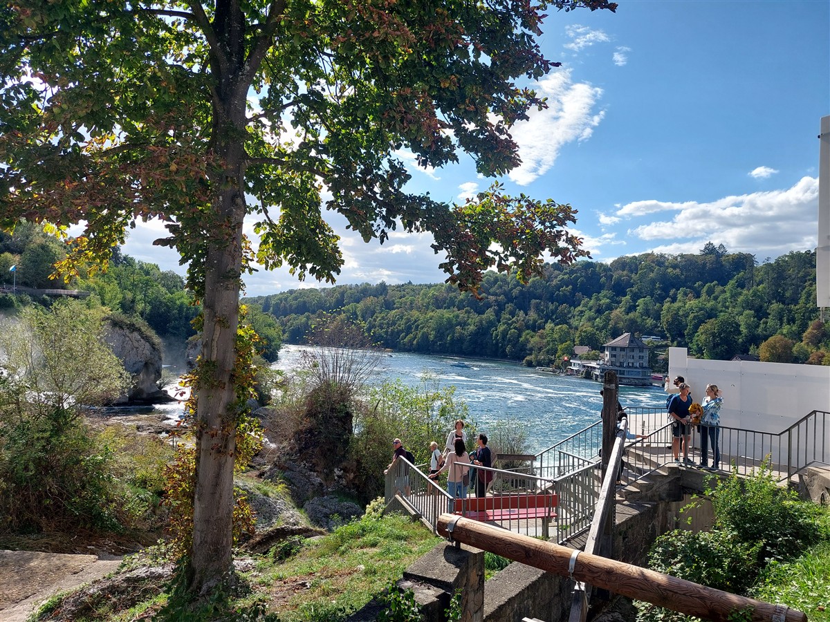 Day 12 – Back to Zurich : Rhine Falls, Old Town and Our Final Evening in Switzerland (Sep'26) 5 Day 12 – Back to Zurich : Rhine Falls, Old Town and Our Final Evening in Switzerland (Sep'26) 5