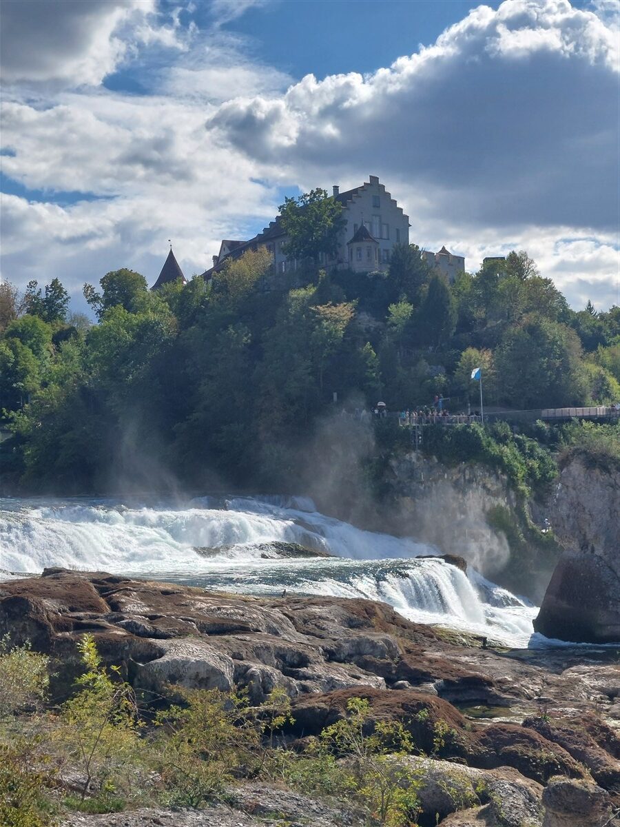 Day 12 – Back to Zurich : Rhine Falls, Old Town and Our Final Evening in Switzerland (Sep'26) 6