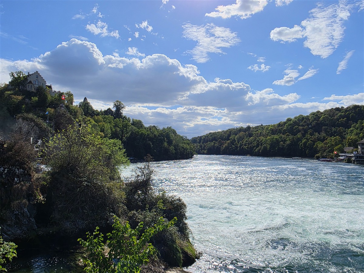 Day 12 – Back to Zurich : Rhine Falls, Old Town and Our Final Evening in Switzerland (Sep'26) 10