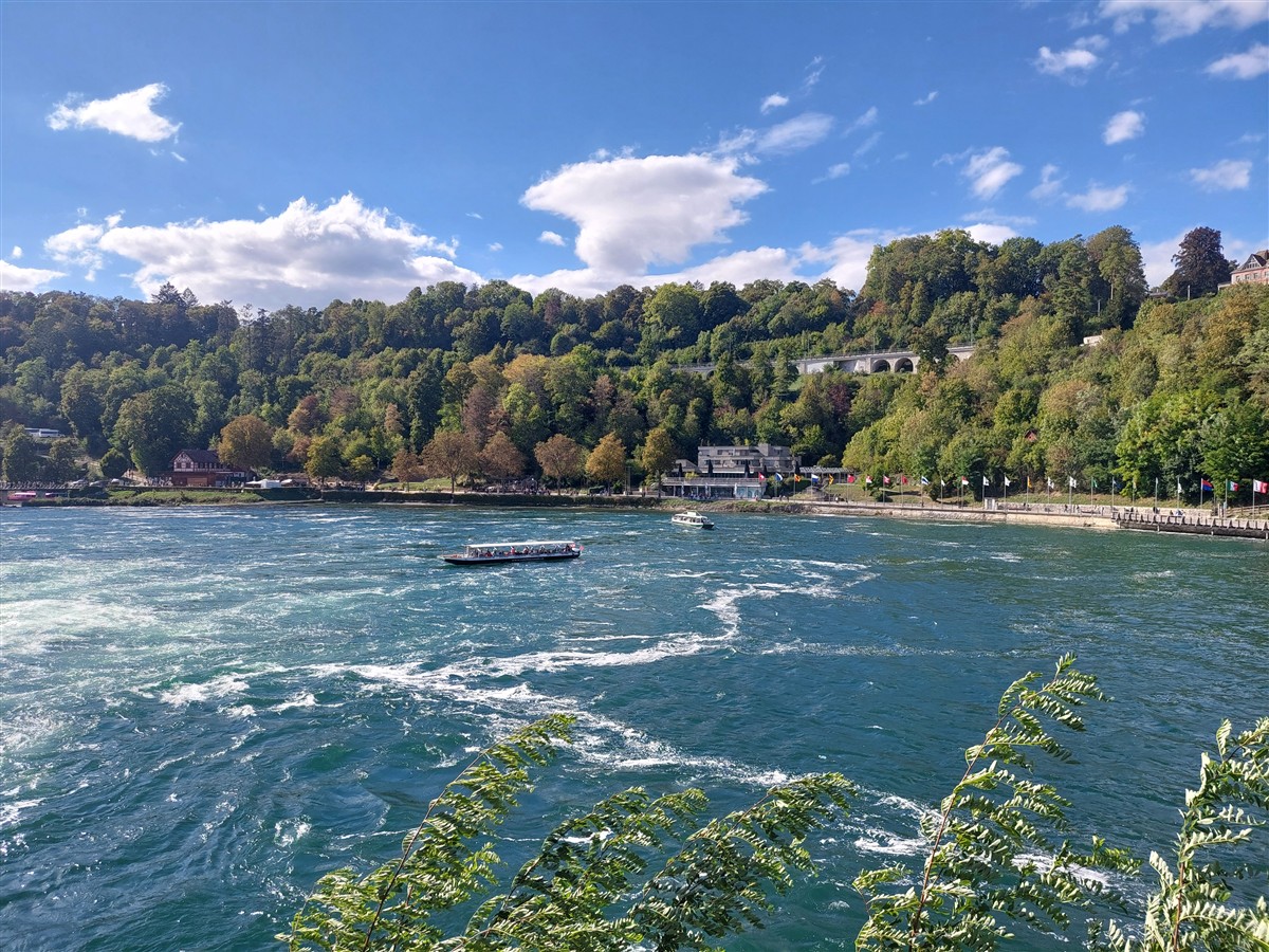 Day 12 – Back to Zurich : Rhine Falls, Old Town and Our Final Evening in Switzerland (Sep'26) 12