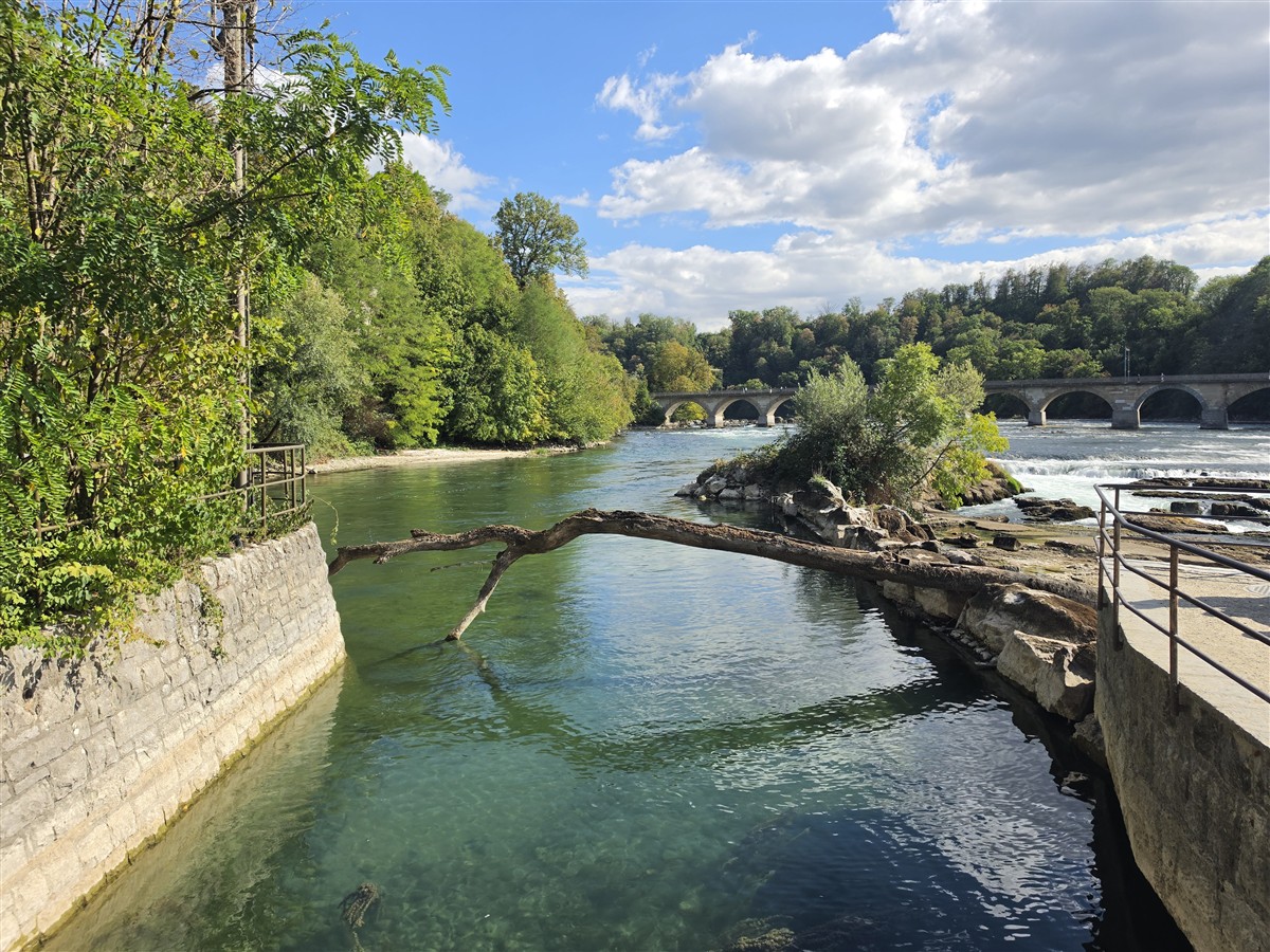 Day 12 – Back to Zurich : Rhine Falls, Old Town and Our Final Evening in Switzerland (Sep'26) 16 Day 12 – Back to Zurich : Rhine Falls, Old Town and Our Final Evening in Switzerland (Sep'26) 16