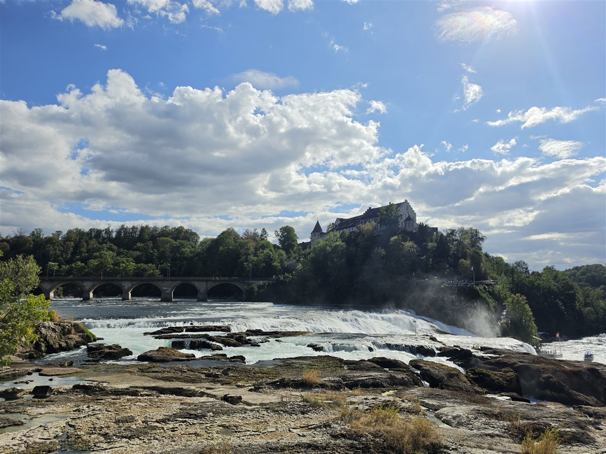 Day 12 – Back to Zurich : Rhine Falls, Old Town and Our Final Evening in Switzerland (Sep'26) 17