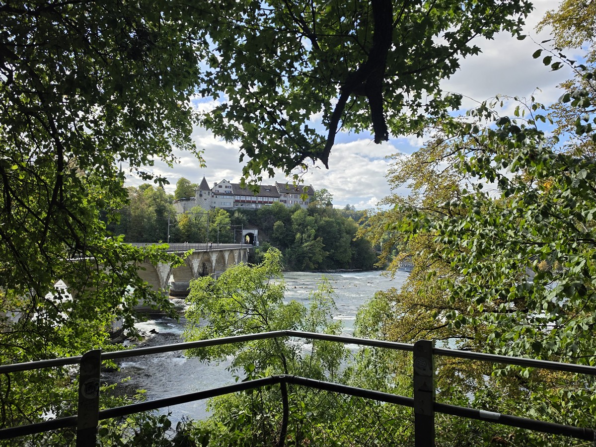 Day 12 – Back to Zurich : Rhine Falls, Old Town and Our Final Evening in Switzerland (Sep'26) 20