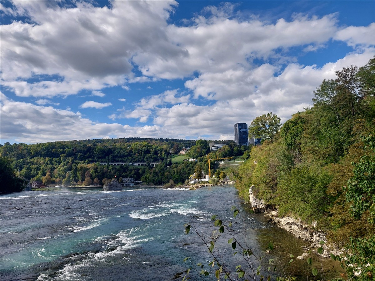 Day 12 – Back to Zurich : Rhine Falls, Old Town and Our Final Evening in Switzerland (Sep'26) 21