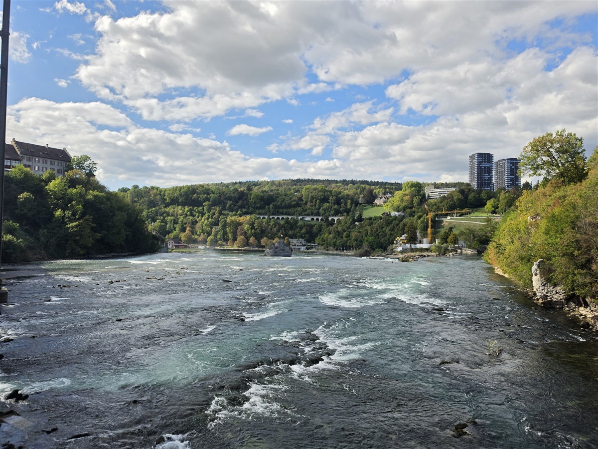 Day 12 – Back to Zurich : Rhine Falls, Old Town and Our Final Evening in Switzerland (Sep'26) 23