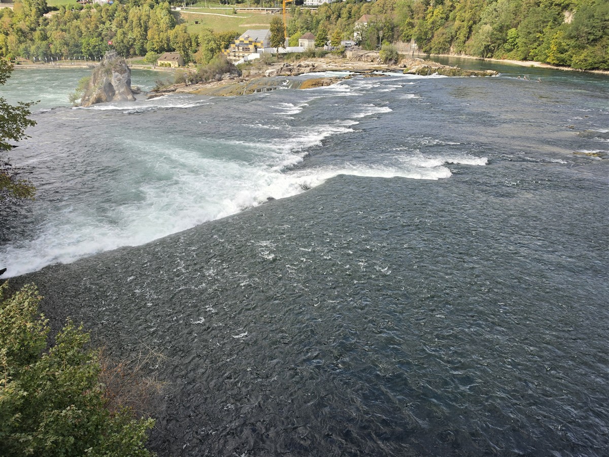 Day 12 – Back to Zurich : Rhine Falls, Old Town and Our Final Evening in Switzerland (Sep'26) 27