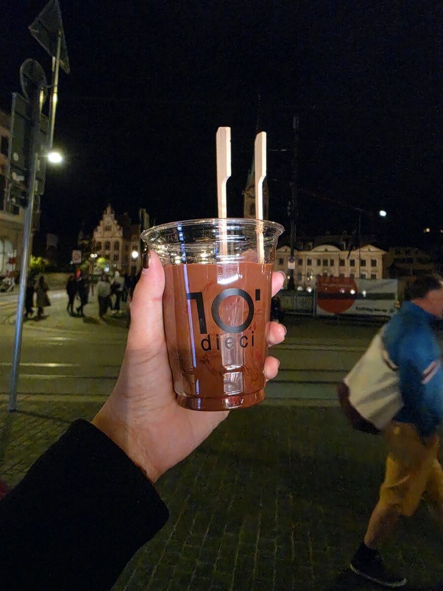 Day 12 – Back to Zurich : Rhine Falls, Old Town and Our Final Evening in Switzerland (Sep'26) 31 Day 12 – Back to Zurich : Rhine Falls, Old Town and Our Final Evening in Switzerland (Sep'26) 31